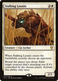 Stalking Leonin Stalking Leonin