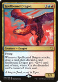 Spellbound Dragon Spellbound Dragon