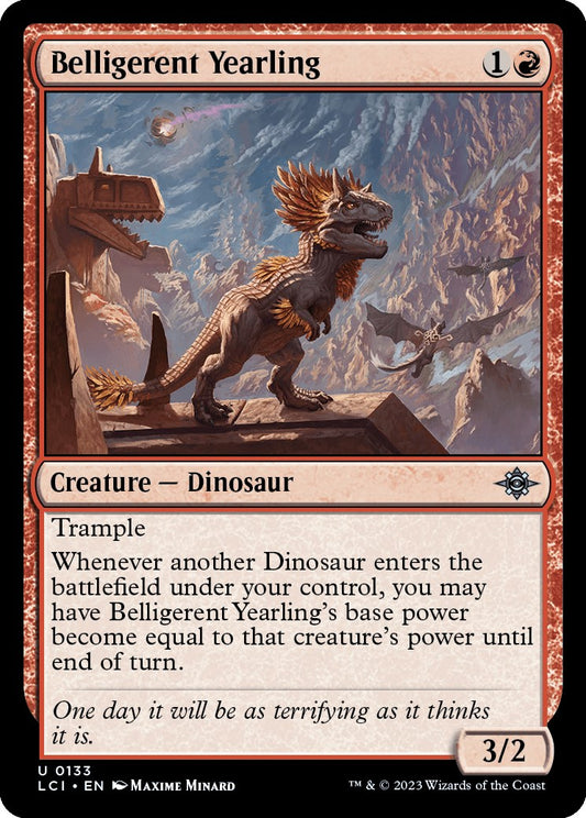 Belligerent Yearling