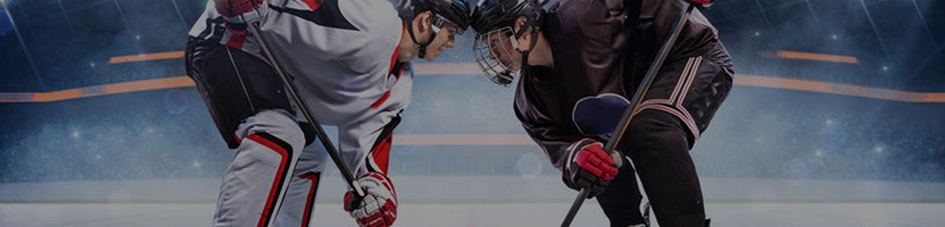 Accessoires Hockey