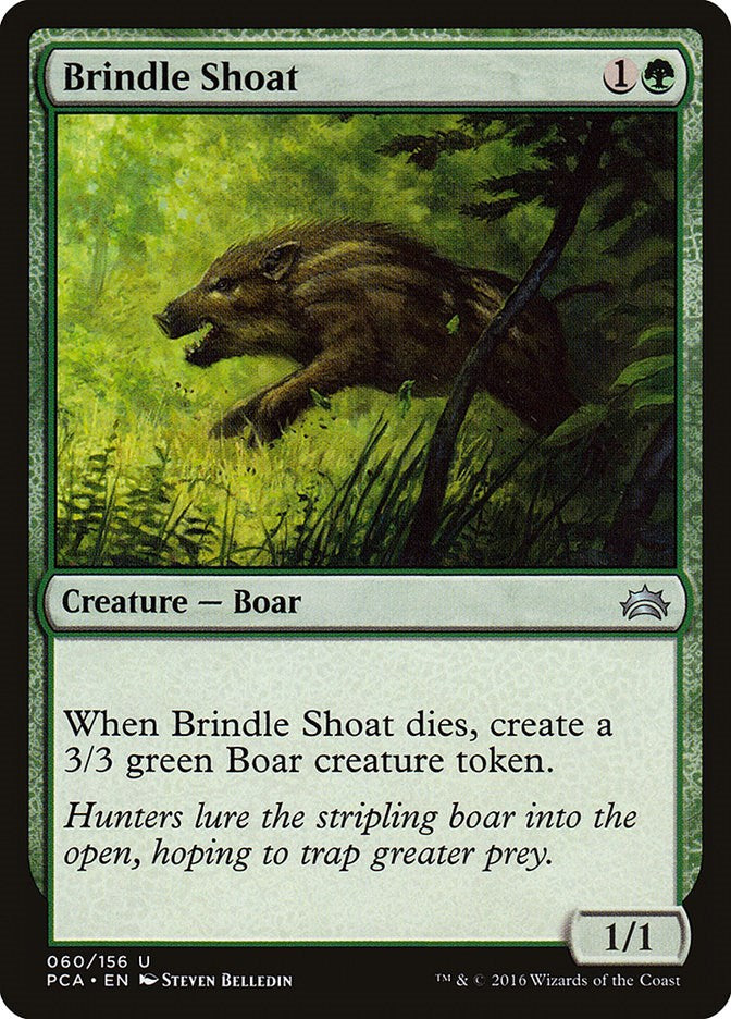 Brindle Shoat [PCA - 60]