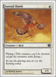 Suntail Hawk