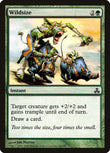 Wildsize [GPT - 98]