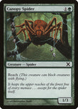 Canopy Spider [10E - 254]