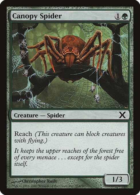 Canopy Spider [10E - 254]