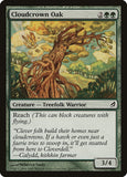 Cloudcrown Oak [LRW - 201]