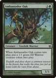 Ambassador Oak [MOR - 113]