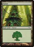 Forest (305) [MRD - 305]