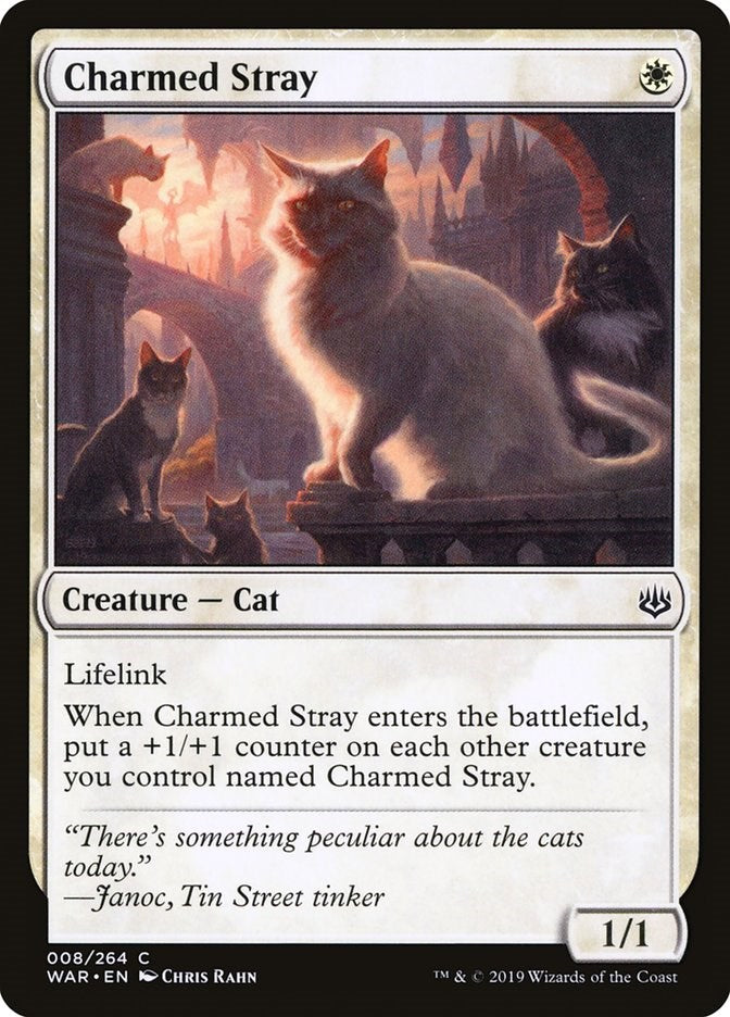 Charmed Stray [WAR - 8]