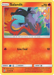 Salandit (33)