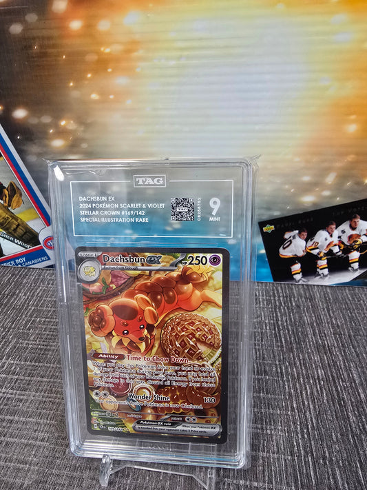 2024 pokemon scarlet&violet Dachsbun EX #169