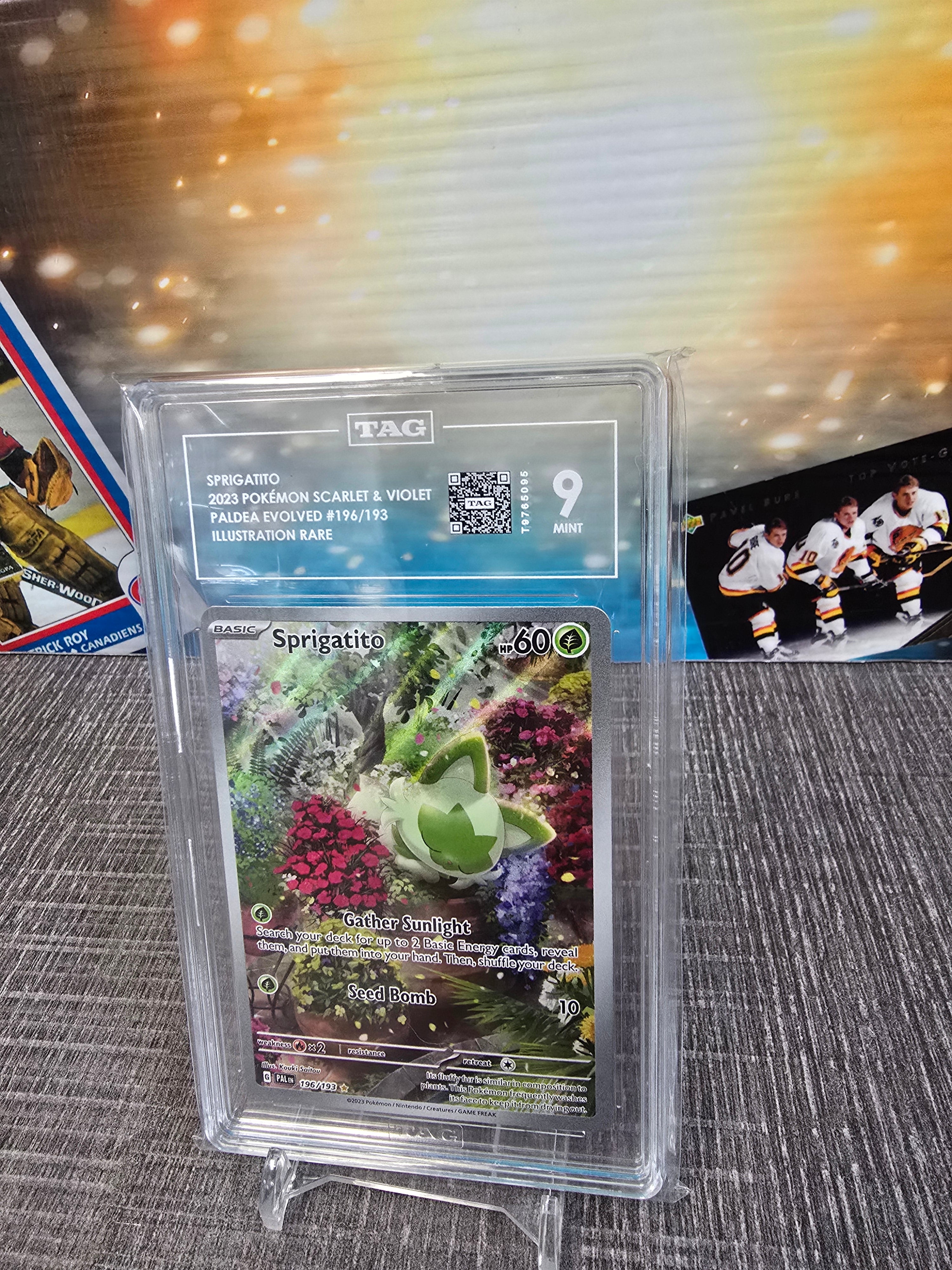 2023 pokemon Scarlet&violet Sprigatito #196