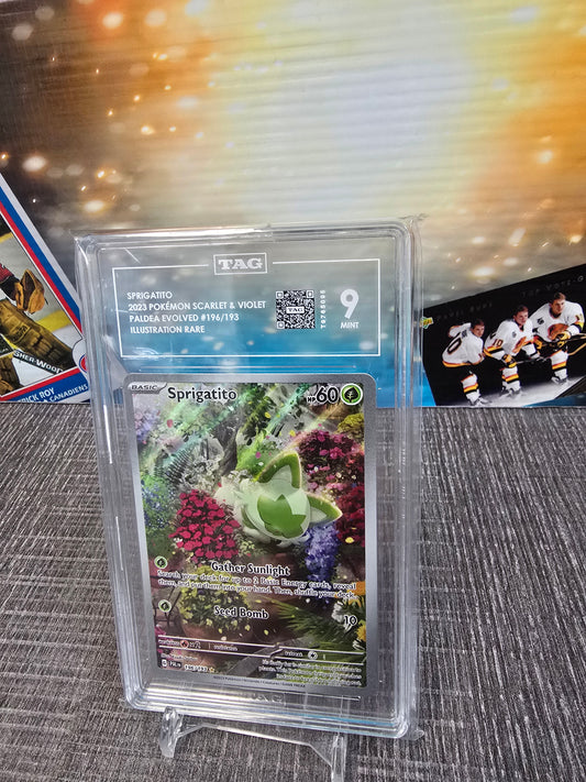 2023 pokemon Scarlet&violet Sprigatito #196