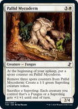 Pallid Mycoderm [TSR - 31]