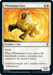 Whitemane Lion [TSR - 50]