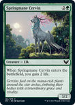 Springmane Cervin [STX - 144]