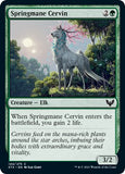 Springmane Cervin [STX - 144]