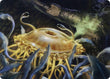 Flumph Art Card