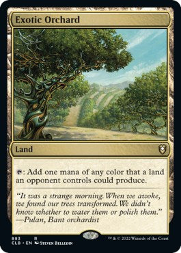 Exotic Orchard [CLB - 893]