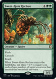 Sweet-Gum Recluse [CLB - 835]