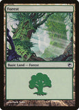 Forest (246) [SOM - 246]