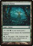 Sapseep Forest [DDH - 36]