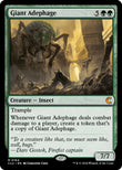 Giant Adephage
