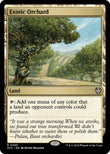 Exotic Orchard [OTC - 293]