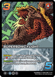 Supersonic Flight [CHA03-KRM 21/22]