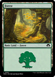 Forest (0318) [MH3 - 318]