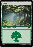 Forest (0319) [MH3 - 319]