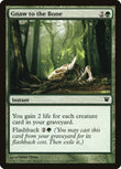 Gnaw to the Bone [ISD - 183]
