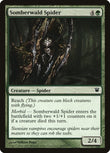 Somberwald Spider [ISD - 202]