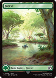 Forest (0308) [FIN - 308]