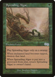 Spreading Algae [USG - 274]