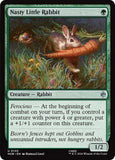 Nasty Little Rabbit
