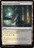 Meticulous Commons