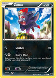 Zorua [XY - 72/146]
