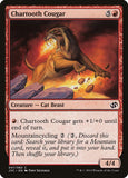 Chartooth Cougar [DD3 - 47]